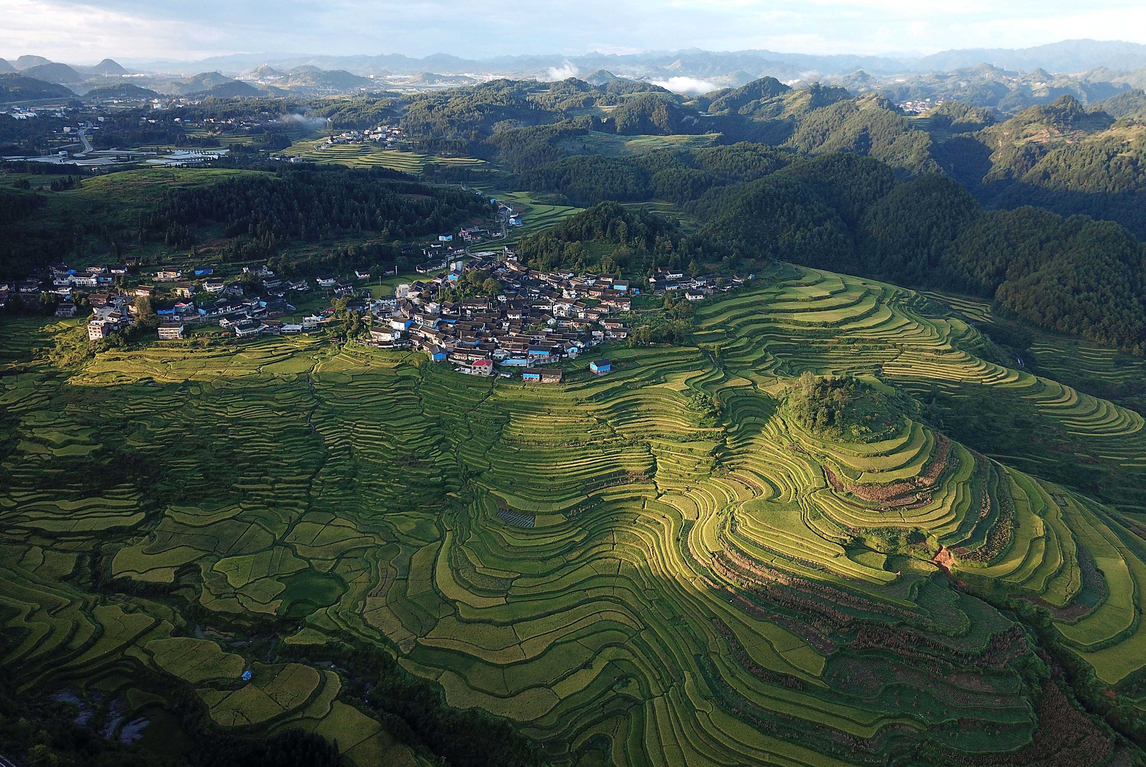 高要梯田航拍图(供图:丹寨县融媒体中心).jpg