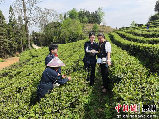 六枝税务局“税宣服务队”队员向茶企人员讲解政策。张钦愿 摄