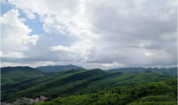 TIM截图20190318112044.png