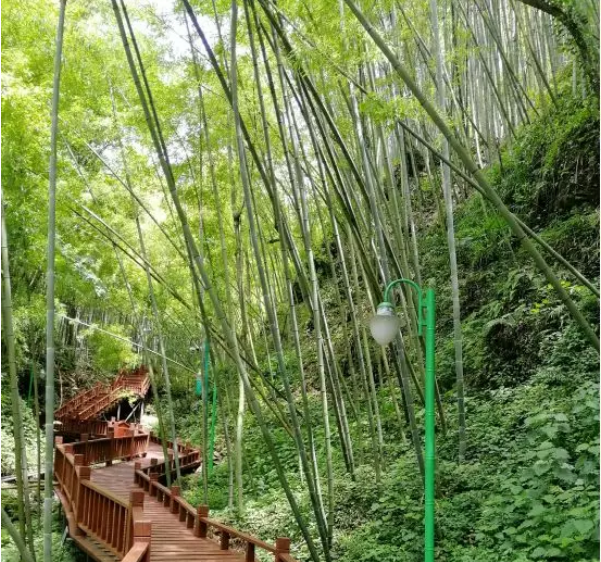 TIM截图20190318112115.png