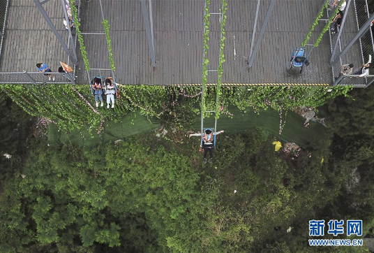TIM截图20190521162136.png