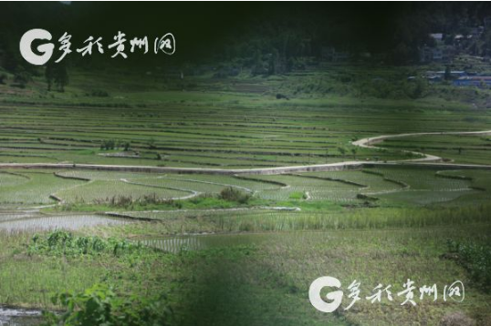 TIM截图20190611151123.png