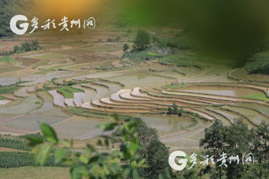 TIM截图20190611151134.png