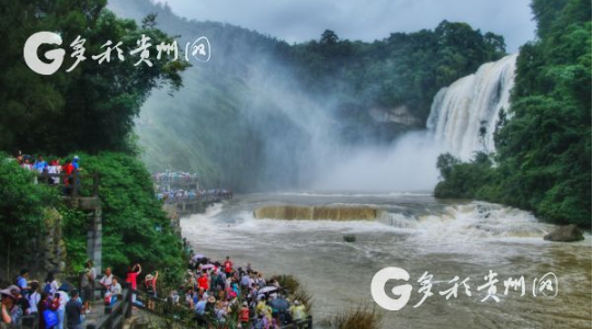 TIM截图20190806165817.png