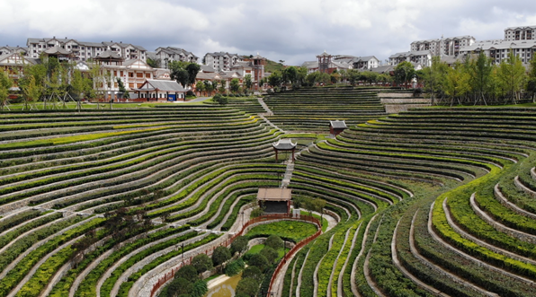 TIM截图20190930091622.png
